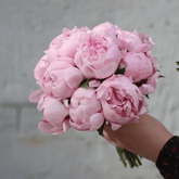 Buchet mireasa “Elle” cu bujori roz